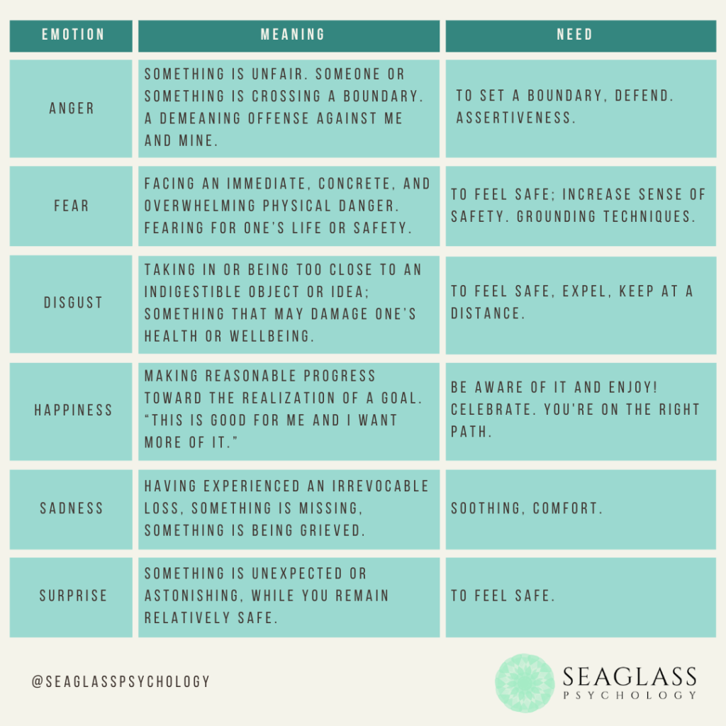 Basic Emotions Their meaning and need Seaglass Psychology