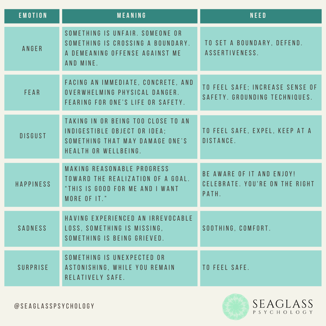 Basic Emotions Table: Meaning and need