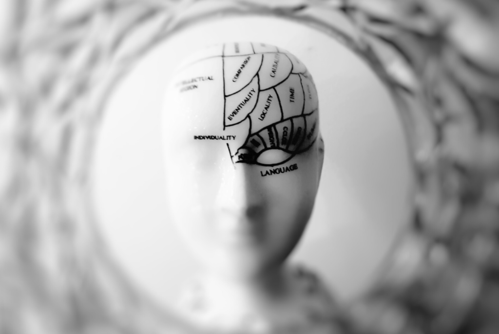 Speaking the languages of the self. Picture of a mannequin head with the brain separated in labelled areas.